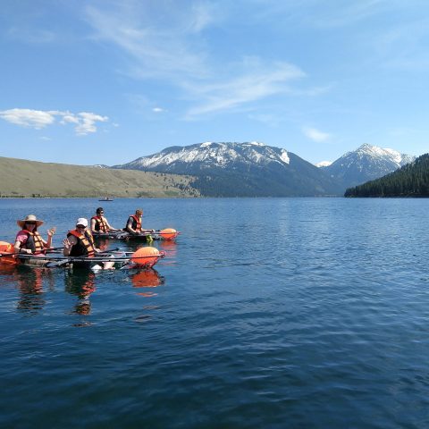 a group of people rowing a boat in the water