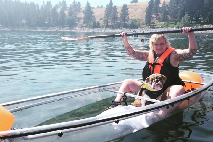 a person rowing a boat in the water