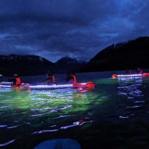 boats with lights on the water