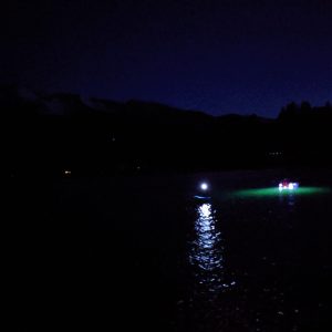 fireworks in the night sky over a body of water