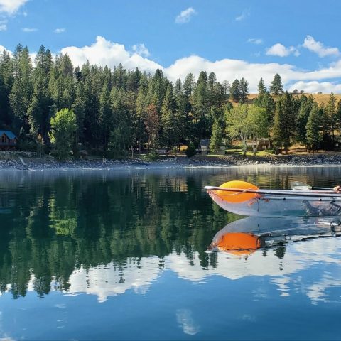 a small boat in a body of water surrounded by trees